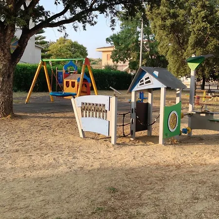 Gigli Di Mare *