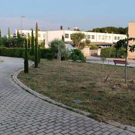 Gigli Di Mare - * Santa Severa